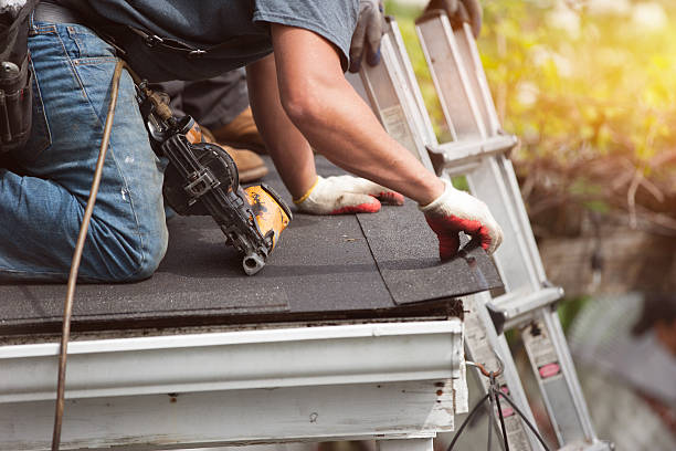 Best Shingle Roofing Installation  in Evansdale, IA